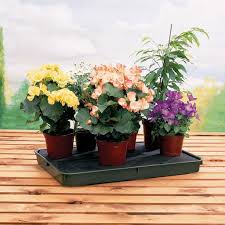 Check spelling or type a new query. Large Self Watering Plant Tray