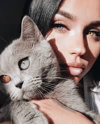 Fluffies Guzel Kediler Hayvan Kedi