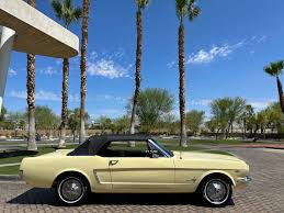 Image result for Phoenician Yellow 1964 Mustang