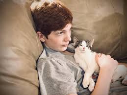 Pet health cats dogs articles are human shampoos safe for pets? Rossmoyne Animal Emergency Trauma Center 40 Reviews Veterinarians 4930 Ritter Rd Mechanicsburg Pa Phone Number