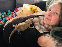 bearded dragon as a pet
