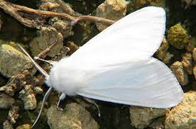 Посмеялся сам - поделись с другом!!!