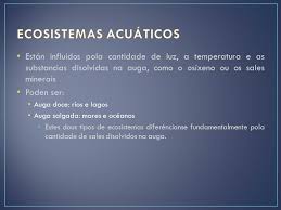 Documentos similares a ecosistemas acuáticos. Ciencias Naturais Unidade 2 Os Ecosistemas Ecosistemas Acuaticos Educacion Primaria