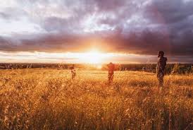 Der sommer steht vor der tür! Sommersonnenwende Am 21 6 2015 Das Musst Du Daruber Wissen
