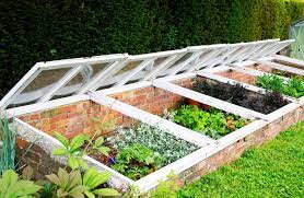 Extend Your Veggie Harvests into Fall and Winter with a Cold Frame