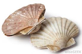 A single serving also includes a good amount of magnesium, iron, and zinc, which can be good for some people but may be a problem for individuals with certain illnesses or on some types of medication. What Is Dried Scallop With Pictures