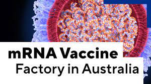 Victoria takes huge step towards australia's first local mrna vaccine. Australia Needs To Start Producing Mrna Vaccines