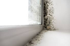Now it looks like greenland's algae are making matters even worse. Red Mold In The Bathroom Or Shower What Is It How To Get Rid Of It