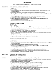 Assistant project manager resume format. It Project Coordinator Resume Samples Velvet Jobs