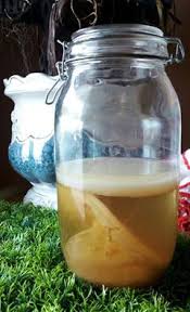 Maka apabila aku telah menyempurnakan kejadiannya. Rknkr Exclusive Cendawan Mekah Mushrooms Mecca