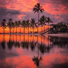 Small beach in a sheltered area, great for families. Matheson Hammock Park Florida By Oasisjae Romantic Honeymoon Destinations Miami Sunset Visit Florida