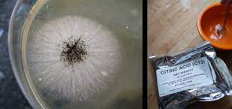 Citric Acid Is Actually Made From Gmo Black Mold Hg