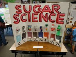 Pin By Rosalie Redcorn On Parenthood Elementary Science Fair Projects Science Fair Projects Cool Science Fair Projects