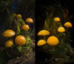 Materials Polymer Clay Wood Moss Led Driftwood Mushroom Night Light Keep In Dry Conditions Don T Expose T Mushroom Lights Mushroom Lamp Mushroom Decor