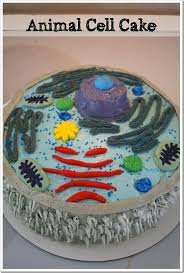 Not sure how to begin this project? Animal Cell Cake Animal Cell Model Great Way For Students To Learn About The Different Parts Of Animal Cell Project Edible Cell Project Edible Animal Cell
