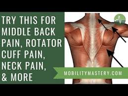 Pin On Pt Exercises