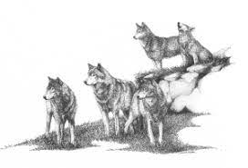 Wolfpack Wolf Pack Tattoo Wolf Tattoo Sleeve Wolf Art Drawing