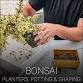 Bonsai: Planters, Potting, and Shaping — Belger event image