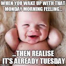 Tuesday hilarious funny work memes. 101 Funny Tuesday Memes When You Re Happy You Survived A Workday