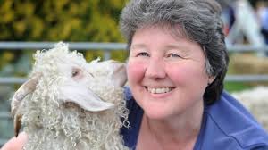 Gallery: Traditional village show fun attracts big crowds