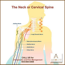 2 (c1 does not have a dermatome.) Neck Nerves Anatomy Anatomy Drawing Diagram