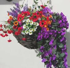 Exhibit an astounding ambiance with our wide selection of affordable artificial flowers our flower walls & panels are exceptionally outstanding. Artificial Hanging Baskets The Artificial Flowers Company Artificial Hanging Baskets Hanging Flower Baskets Hanging Flowers