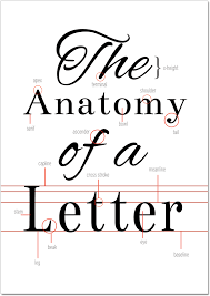 The Anatomy Of A Letter Printable Typography Printable Lettering Anatomy Of Typography