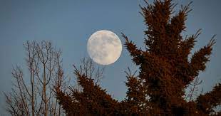 3,187 likes · 1 talking about this. Here S How To See The Epic Full Wolf Moon Coming To Toronto This Week
