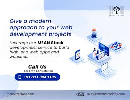 Mean Stack Web Development Projects App Development Process Domain Knowledge