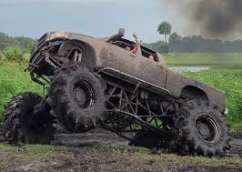 Image result for Manniella gustavi