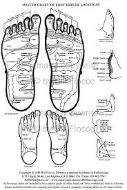 hand picked reflexology foot chart ingham method reflexology