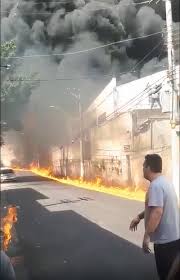 Entre em contato com a ribeira dedetização e saiba mais sobre este procedimento e tenha um ambiente livre de pulgas em barueri. Ukjtuxv0etwbom