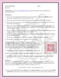 Egg osmosis lablesson description:students will use an egg as a model of osmosis across membranes.instructional objectives: Science 8 Diffusion Osmosis Worksheet Answers Printable Worksheets And Activities For Teachers Parents Tutors And Homeschool Families