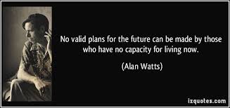 No Plan Quotes Quotesgram