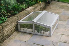 Controlled conditions of polycarbonate greenhouse enhances the quality of the harvest. Btkbblouy R 6m