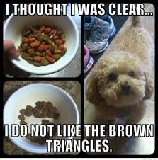 As a dog owner, you likely think of your pet as a family member. Dog Food Advisor On Twitter Dogs Don T Care About The Color Of Their Food Coloring Is Used To Make A Food More Appealing To You And It Is Possibly Carcinogenic Too Https T Co Tzpcbnwaot