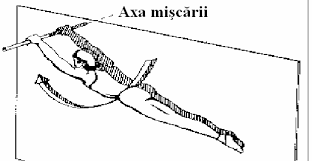 Articole despre corpul uman si anatomia corpului omenesc in imagini 3d.afla totul despre tine si despre anatomia corpului uman. Https Mec Tuiasi Ro Diverse Indrumar Lucrari Aplicative Biomecanica Pdf