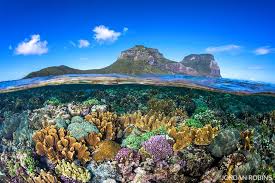Coral Gardens Lord Howe Island Jordan Robins Photography Australia Tourism Australia Vacation Airlie Beach
