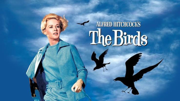 The Birds (1963) - Movie - Where To Watch