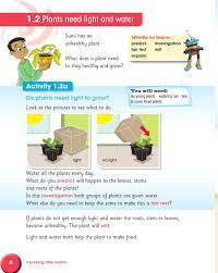 Understanding the role of light in plant growth. Cambridge Primary Science Learner S Book 3 By Cambridge University Press Education Issuu