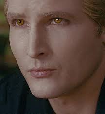 Ivis Hernandez (ivishernandez952)