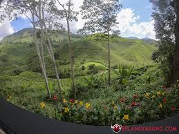 So kepada yang bakal berkunjung ke sisni. Boh Tea Centre Sungai Palas Cameron Highland Pahang Apa Yang Menarik Some Bullet For Your Head