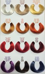 Five Questions To Ask At Elgon Hair Color Chart Elgon Hair