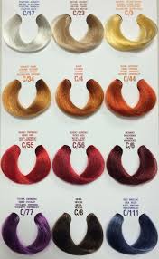 five questions to ask at elgon hair color chart elgon hair