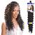 Freetress Water Wave Passion Twist