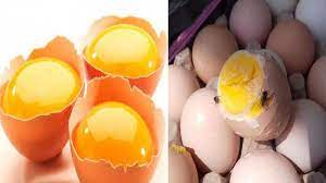 Check spelling or type a new query. Bahaya Telur Infertil Jika Dikonsumsi Ini Cara Bedakan Dengan Telur Biasa Halaman 2 Serambi Indonesia
