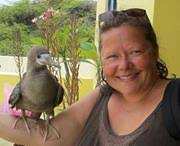 Rome Is Love Spelled Backward (Roma Amor): Enjoying Art and Architecture in  the Eternal City by Judith Testa