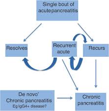 Pancreatic enzyme levels in blood, urine, or ascitic ﬂ uid. Pancreatitis In Dogs And Cats Definitions And Pathophysiology Watson 2015 Journal Of Small Animal Practice Wiley Online Library