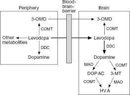 Image result for COMT Inhibitor