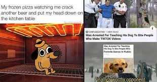 Memebase Dog Memes All Your Memes In Our Base Funny Memes Cheezburger